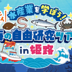 姫路　海の自由研究ツアー